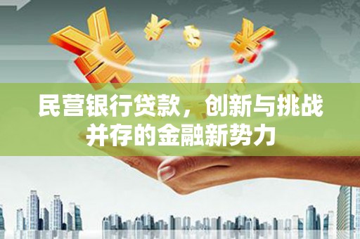 平川民营银行贷款，创新与挑战并存的金融新势力