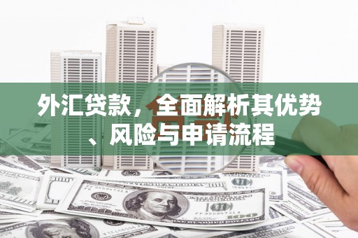 资阳外汇贷款，全面解析其优势、风险与申请流程