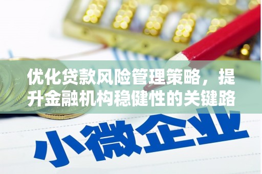 田林优化贷款风险管理策略，提升金融机构稳健性的关键路径