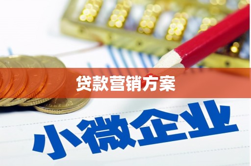 定州贷款营销方案