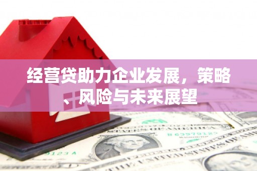 盐埕经营贷助力企业发展，策略、风险与未来展望