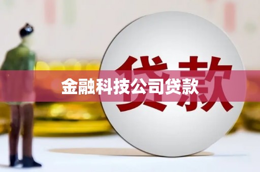 西和金融科技公司贷款