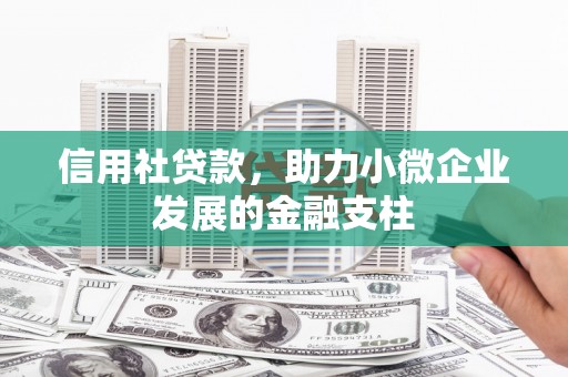 苍南信用社贷款，助力小微企业发展的金融支柱
