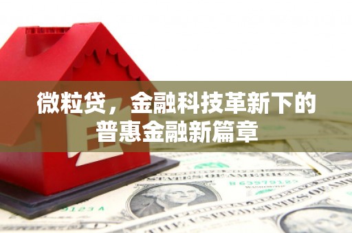 丰顺微粒贷，金融科技革新下的普惠金融新篇章
