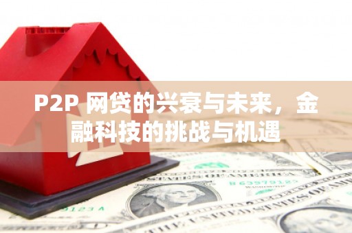 信阳P2P 网贷的兴衰与未来，金融科技的挑战与机遇