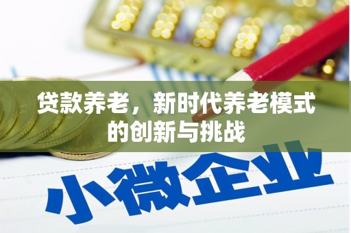 华宁贷款养老，新时代养老模式的创新与挑战