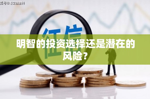 叶城明智的投资选择还是潜在的风险？