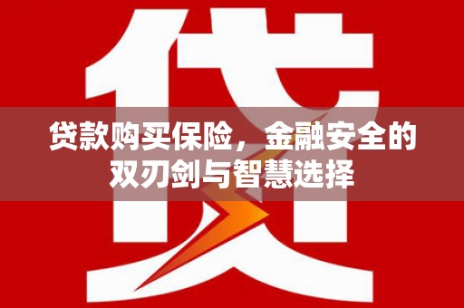 保康贷款购买保险，金融安全的双刃剑与智慧选择