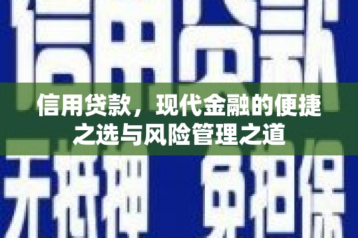 元长信用贷款，现代金融的便捷之选与风险管理之道