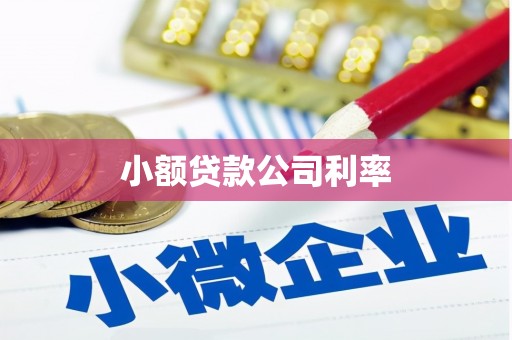 西固小额贷款公司利率