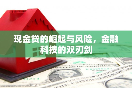 元谋现金贷的崛起与风险，金融科技的双刃剑