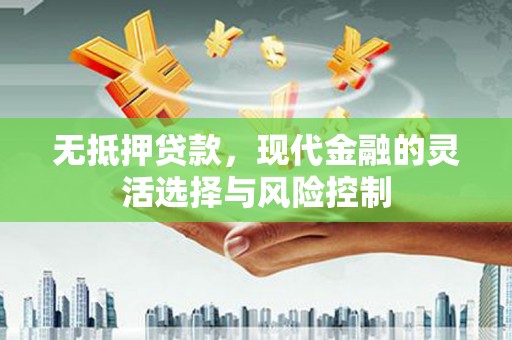 天等无抵押贷款，现代金融的灵活选择与风险控制