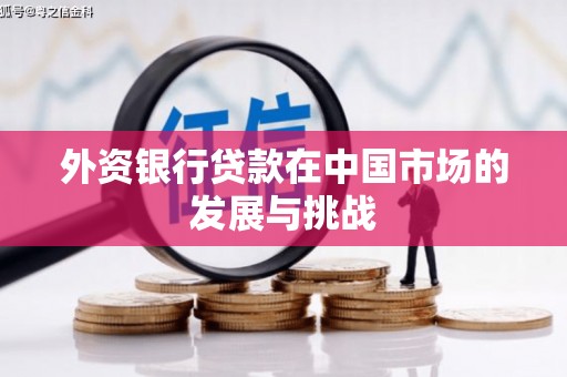 武邑外资银行贷款在中国市场的发展与挑战