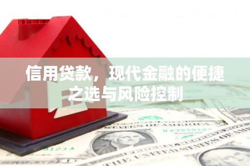 西峡信用贷款，现代金融的便捷之选与风险控制
