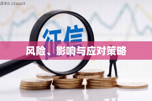 龙江风险、影响与应对策略