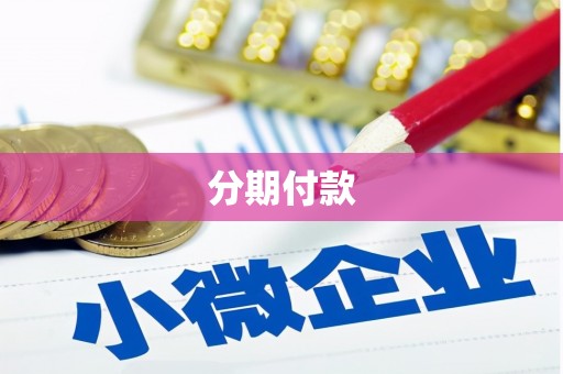稻城分期付款