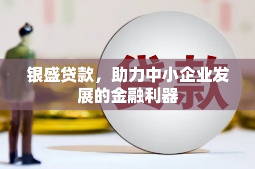 苍南银盛贷款，助力中小企业发展的金融利器