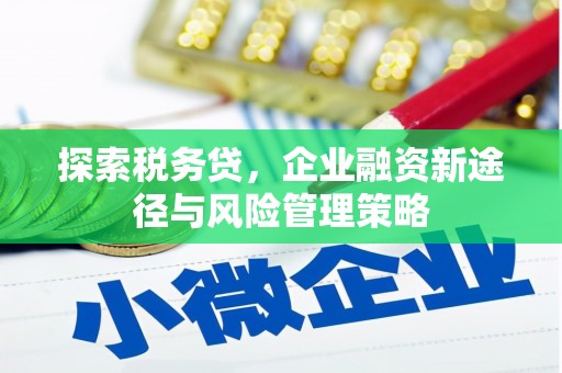 冈山探索税务贷，企业融资新途径与风险管理策略