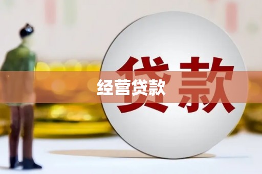 玉山经营贷款