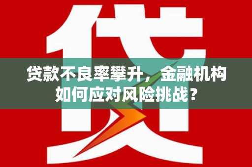礼县贷款不良率攀升，金融机构如何应对风险挑战？