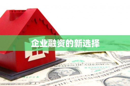 金城企业融资的新选择