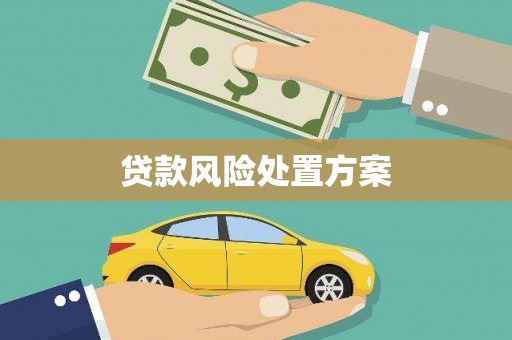 新蔡贷款风险处置方案
