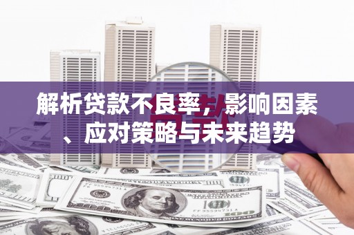 昌都解析贷款不良率，影响因素、应对策略与未来趋势