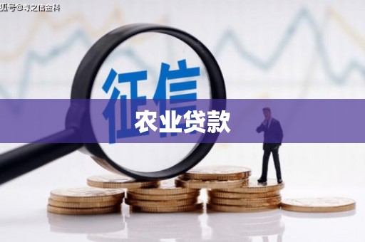 石台农业贷款