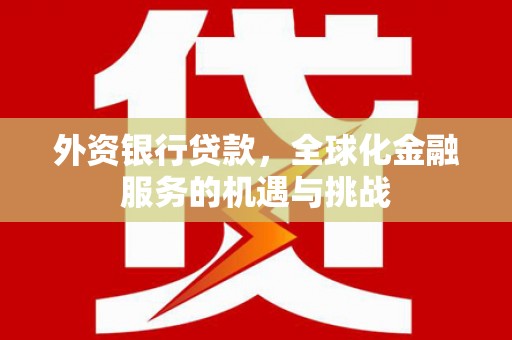 通霄外资银行贷款，全球化金融服务的机遇与挑战