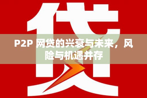大甲P2P 网贷的兴衰与未来，风险与机遇并存