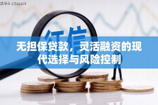 颍泉无担保贷款，灵活融资的现代选择与风险控制