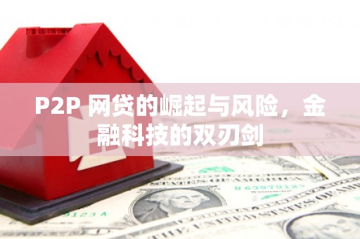 沿滩P2P 网贷的崛起与风险，金融科技的双刃剑