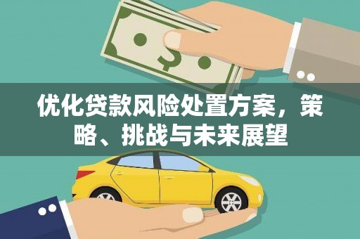 新店优化贷款风险处置方案，策略、挑战与未来展望