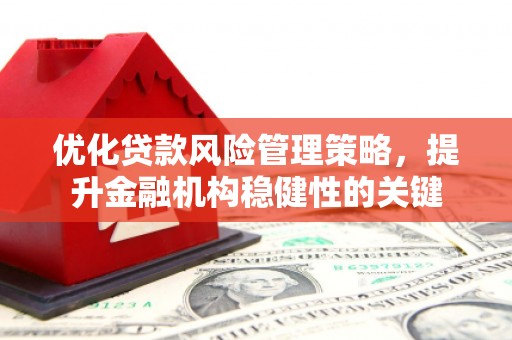 海兴优化贷款风险管理策略，提升金融机构稳健性的关键