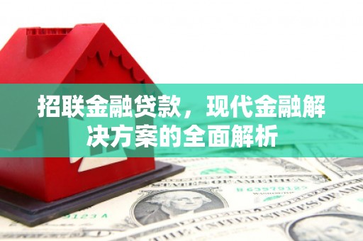 凤泉招联金融贷款，现代金融解决方案的全面解析