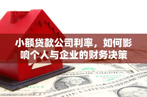 攀枝花小额贷款公司利率，如何影响个人与企业的财务决策