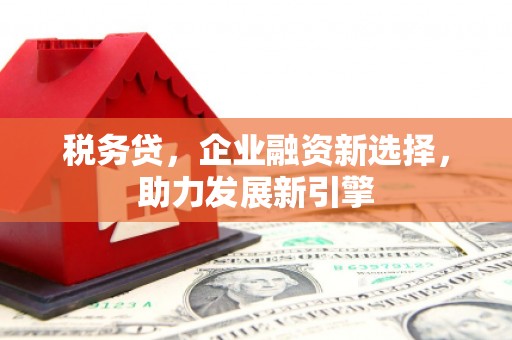 大余税务贷，企业融资新选择，助力发展新引擎