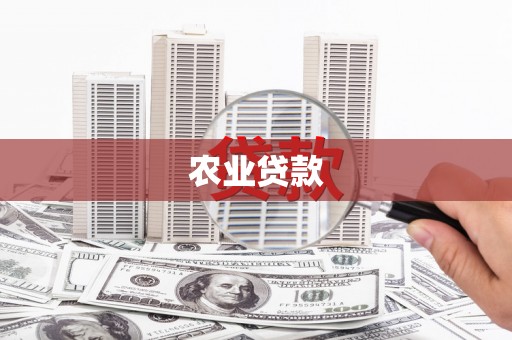 云安农业贷款