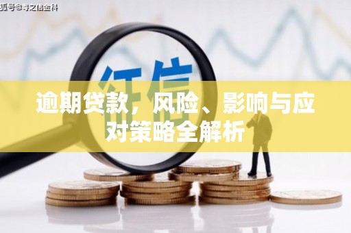 龙子湖逾期贷款，风险、影响与应对策略全解析