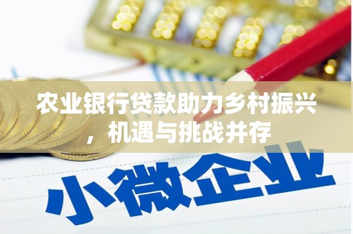 永修农业银行贷款助力乡村振兴，机遇与挑战并存