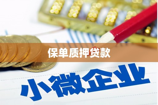 永泰保单质押贷款