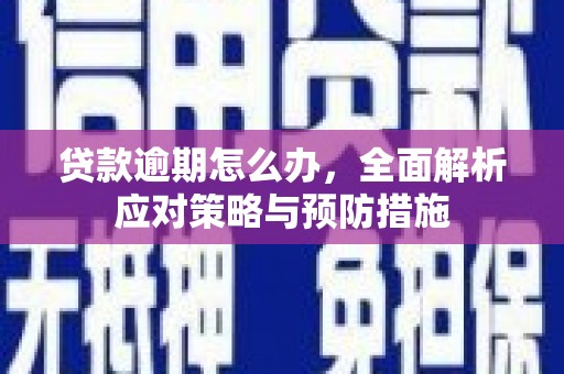 西海岸贷款逾期怎么办，全面解析应对策略与预防措施
