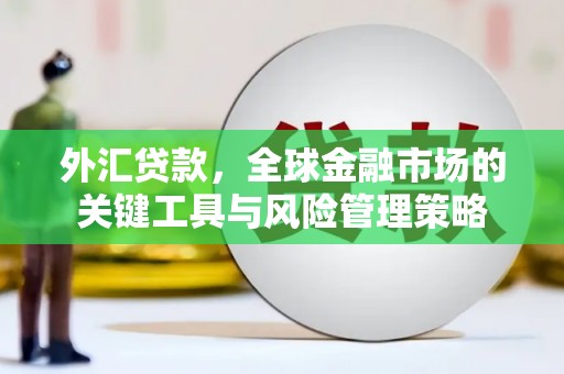 贵阳外汇贷款，全球金融市场的关键工具与风险管理策略