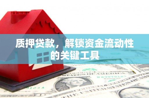 环江质押贷款，解锁资金流动性的关键工具