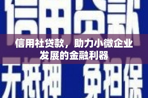 霍尔果斯信用社贷款，助力小微企业发展的金融利器
