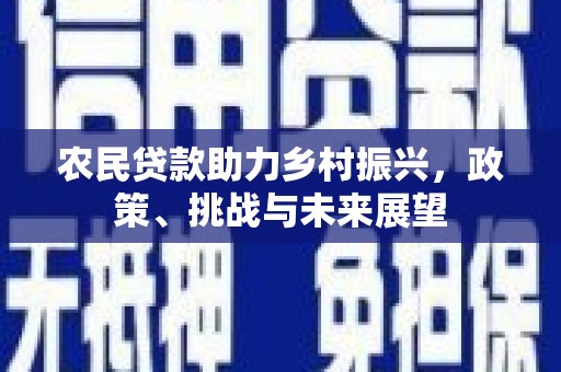 三元农民贷款助力乡村振兴，政策、挑战与未来展望