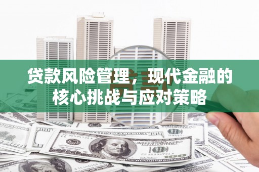 宜丰贷款风险管理，现代金融的核心挑战与应对策略