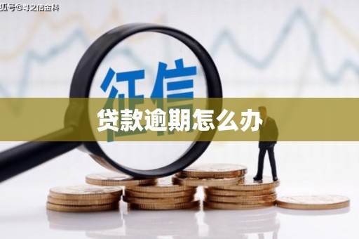 广南贷款逾期怎么办