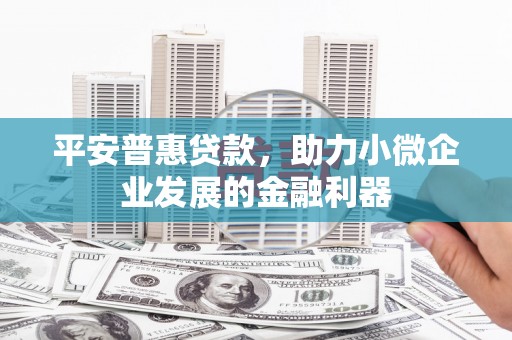 华龙平安普惠贷款，助力小微企业发展的金融利器