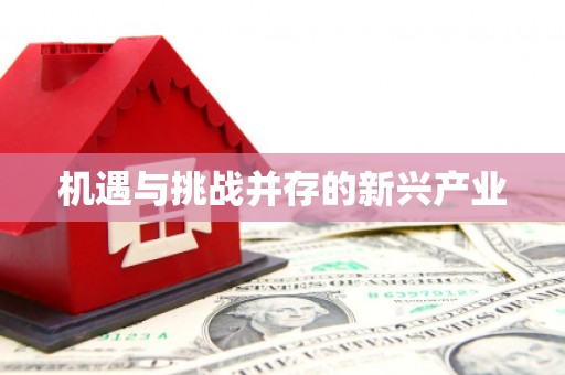 宁安机遇与挑战并存的新兴产业
